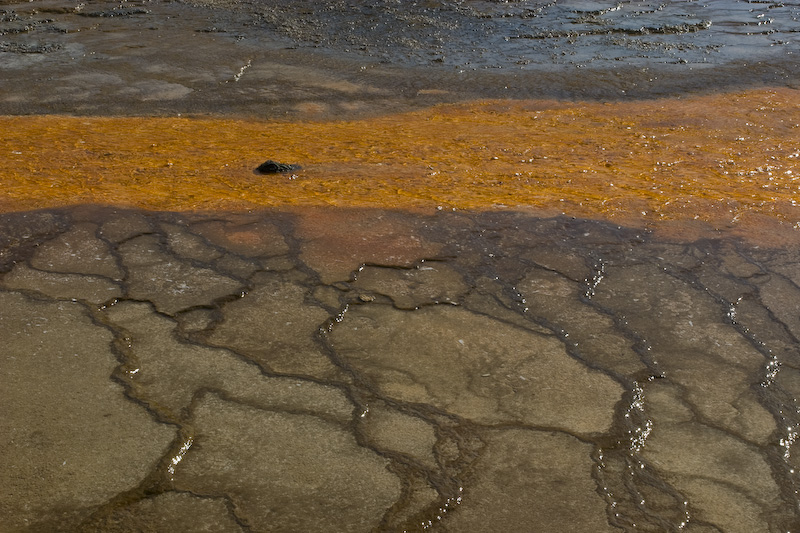 Detail Of Grand Prismatic Spring